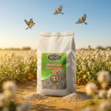 White Pirella Seed 800g بذور البيريلا بيضاء 800غ