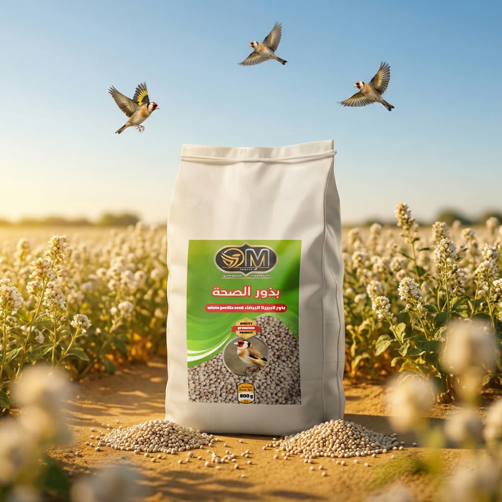 White Pirella Seed 800g بذور البيريلا بيضاء 800غ