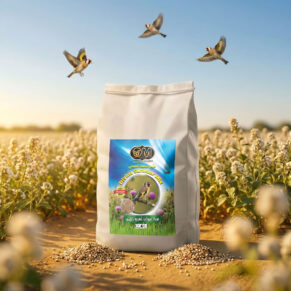 Divina Summer Mix 4kg خليط ديفينا صيفي 4كلغ